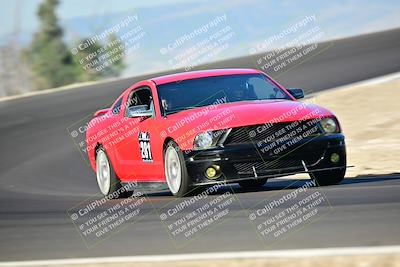 media/Mar-01-2025-Turn8 Trackdays (Sat) [[3bac13d0ad]]/Inter 3/Session 1 (Turns 2 and 3)/